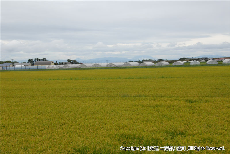 H18.09.05 風景（東野） 