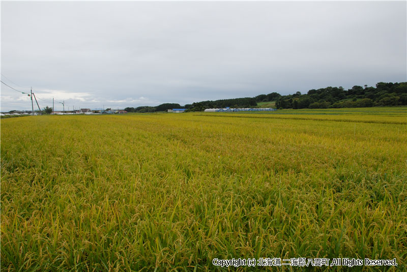 H18.09.05 風景（東野） 