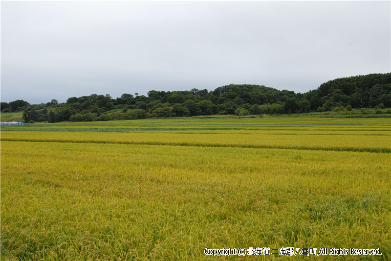 H18.09.05 風景（東野） 