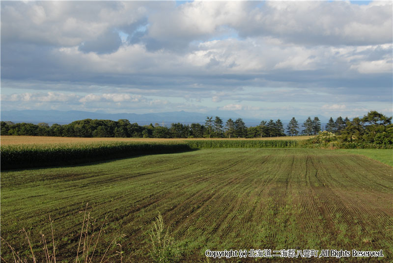 H18.09.05 風景（東野） 