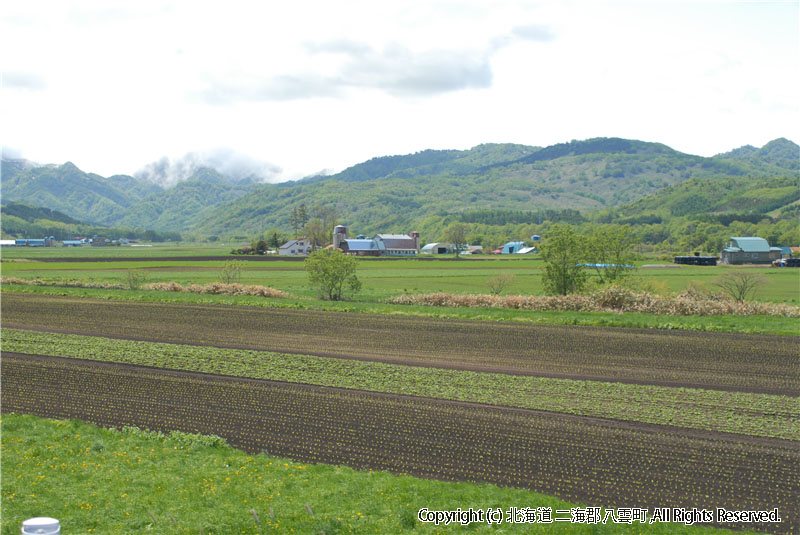 H18.06.01~02　風景（育成牧場） 