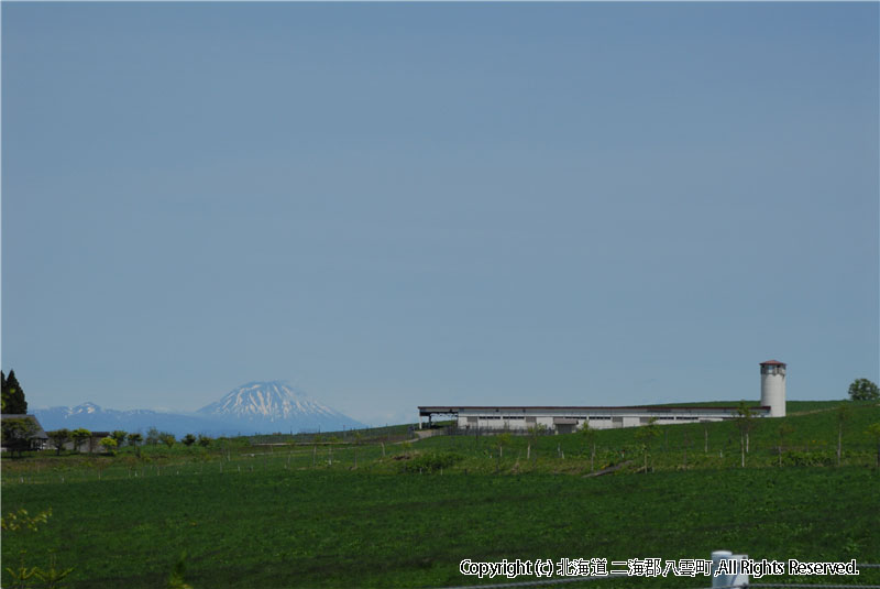 H18.06.01~02　風景（育成牧場） 