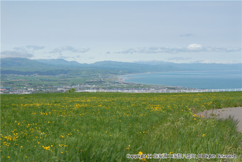 H18.06.01~02　風景（育成牧場） 