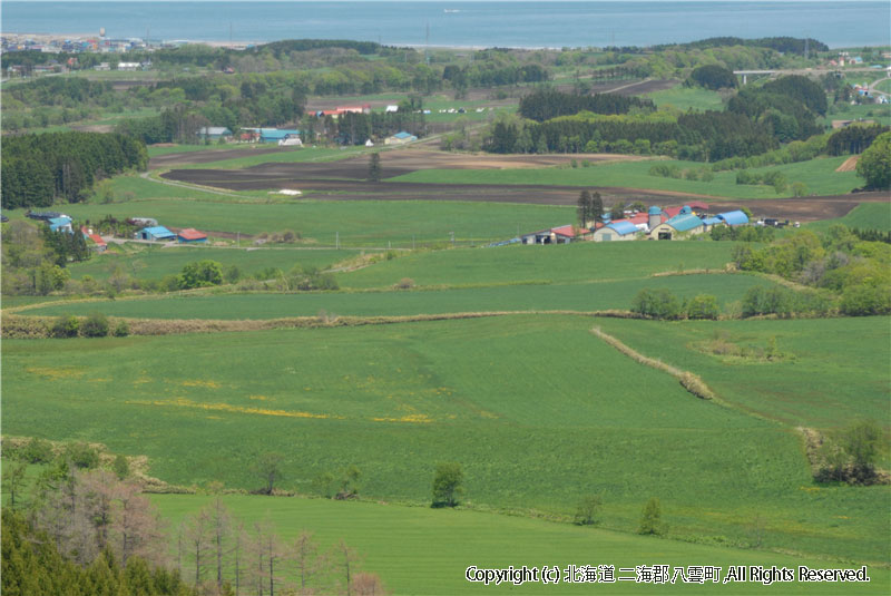 H18.06.01~02　風景（育成牧場） 