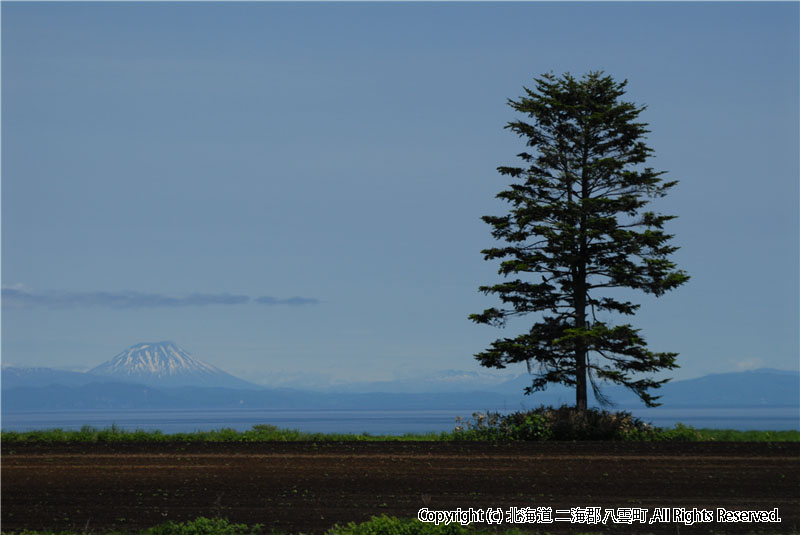 H18.06.01~02　風景（育成牧場） 