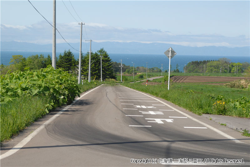 H18.06.01~02　風景（育成牧場） 
