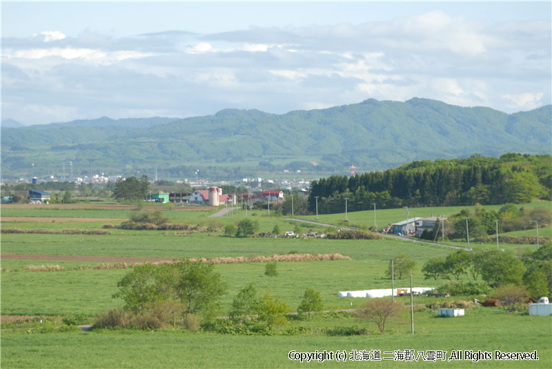 H18.06.01~02　風景（育成牧場） 