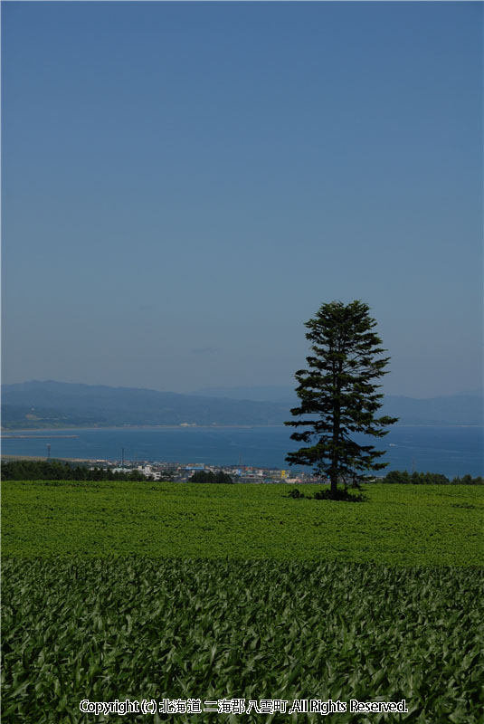 H18.07.27 風景（育成牧場、畑） 