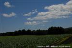 H18.07.27 風景（育成牧場、畑） 