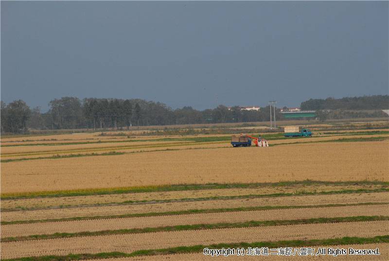 H18.10.05　風景（東野稲）  