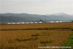 H18.10.05　風景（東野稲）  