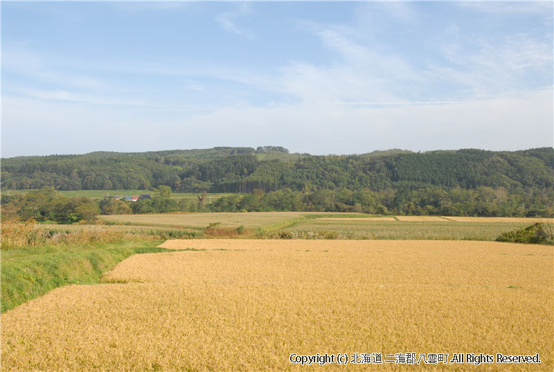 H18.10.05　風景（東野稲）  