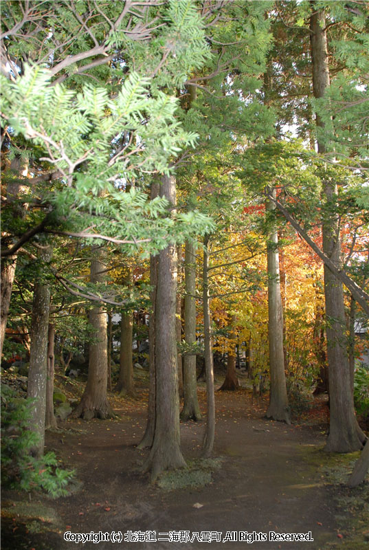 H18.11.03　梅村庭園