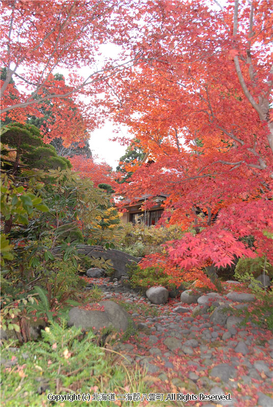 H18.11.03　梅村庭園