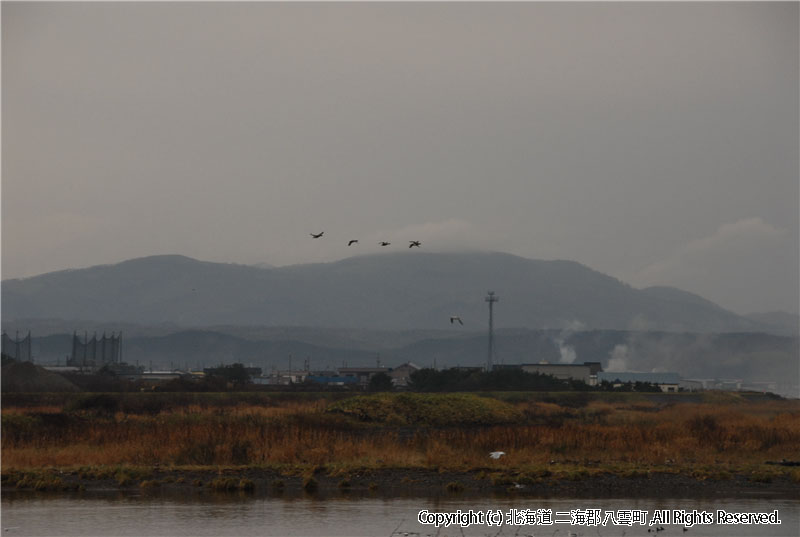 H18.11.07　風景（遊楽部川河口、野田生） 