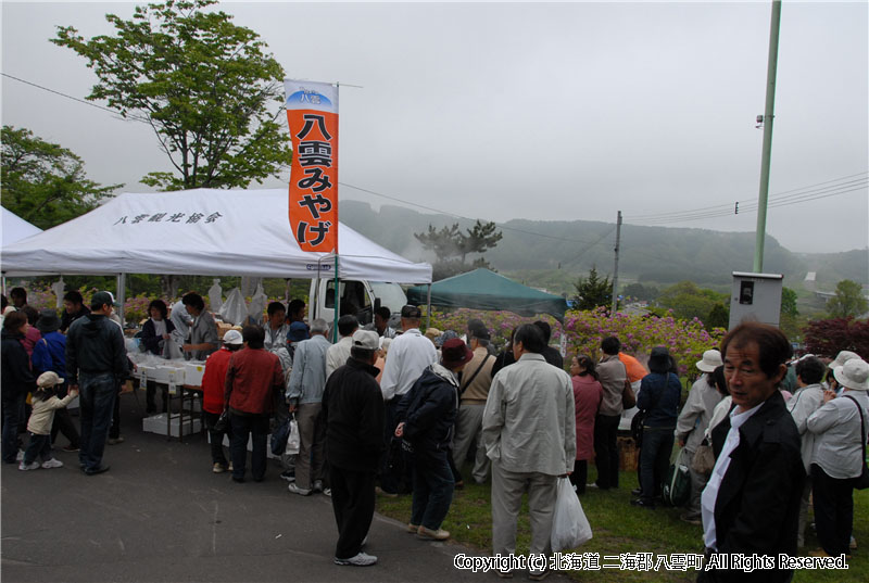 H19.06.03　つつじ祭り 