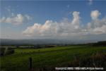 19.10.05　風景 