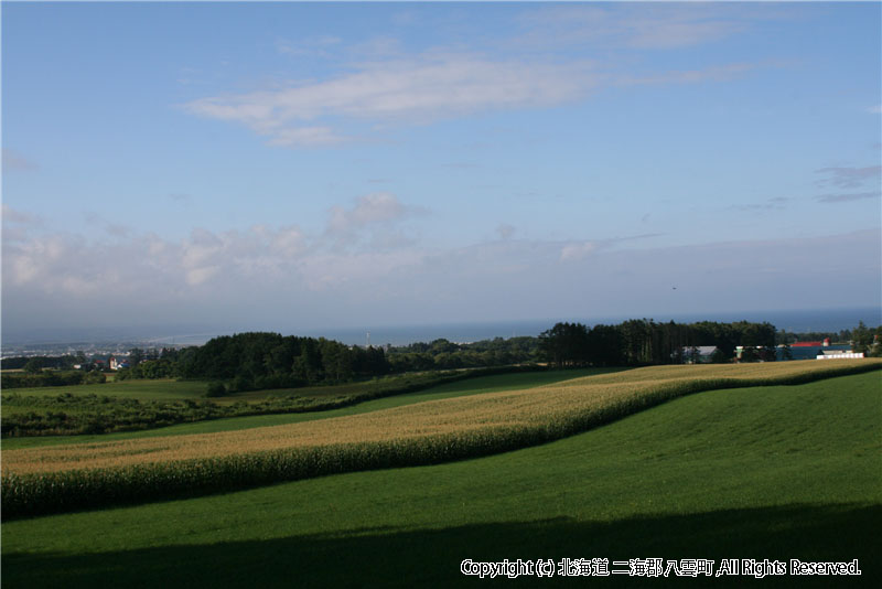 H19.08.18　熱田風景 