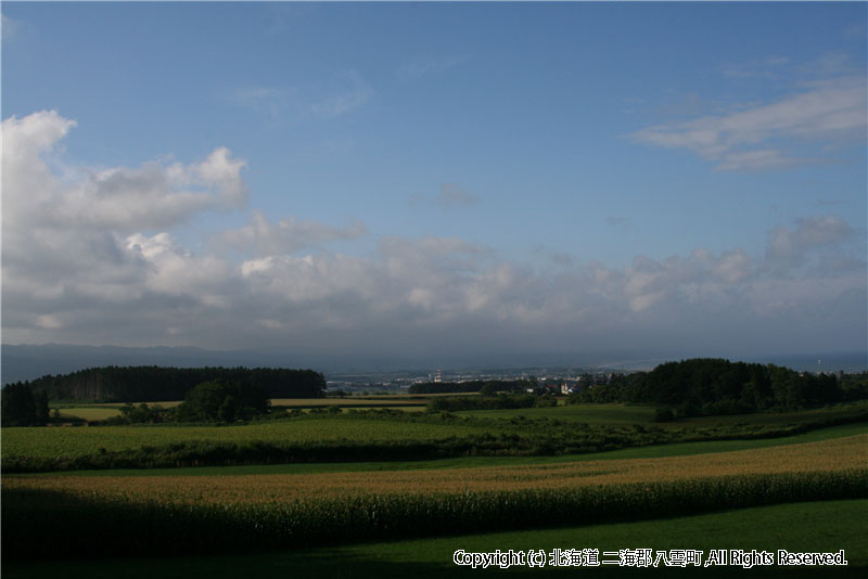 H19.08.18　熱田風景 