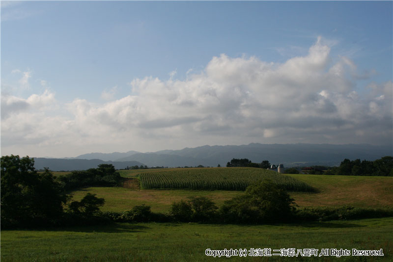 H19.08.18　熱田風景 