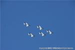 H19.07.22　ブルーインパルス（航空祭）