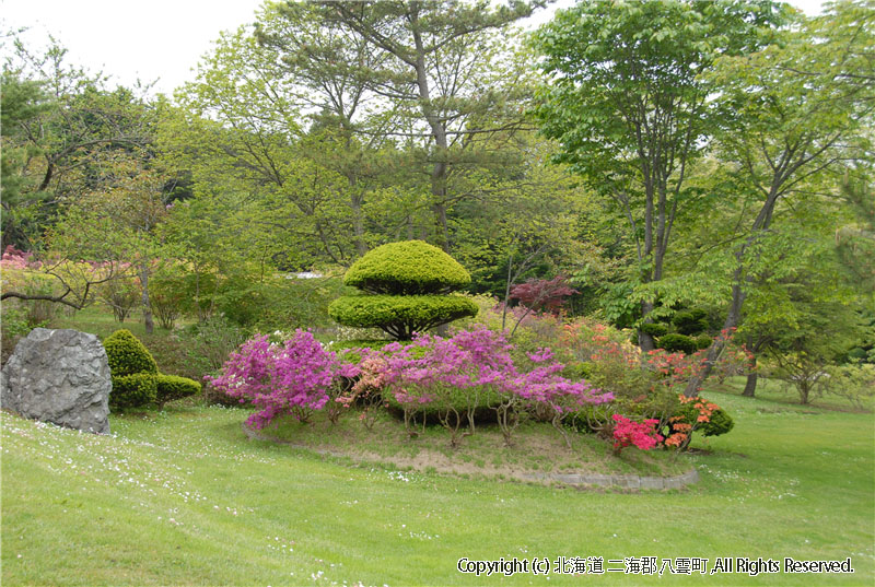 H20.06.05　落部公園