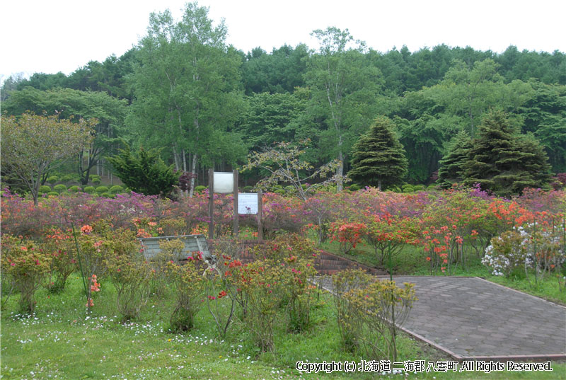 H20.06.05　落部公園