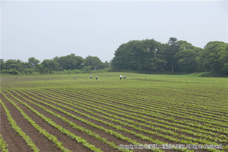 H21.07.07　風景