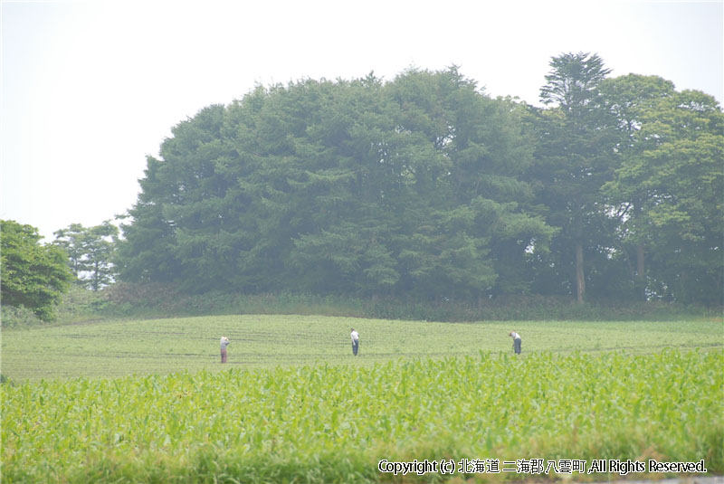 H21.07.07　風景