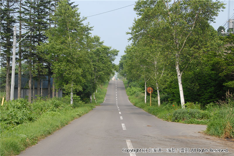 H21.07.07　風景