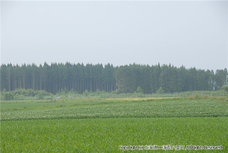 H21.07.07　風景