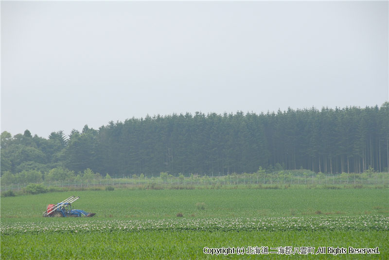 H21.07.07　風景