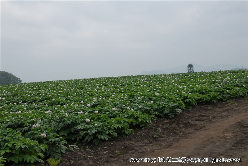 H21.07.07　風景