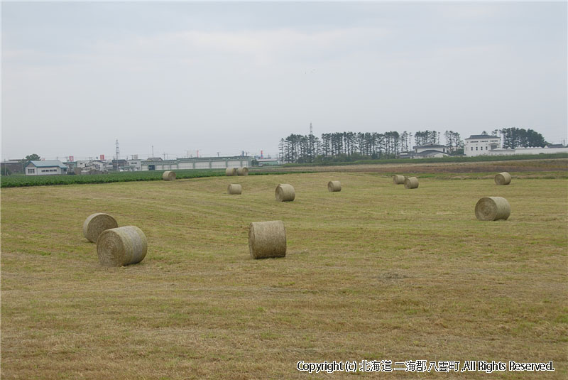 H21.07.07　風景