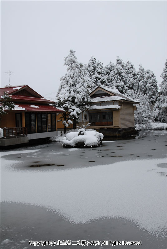 H22.01.06　梅村庭園