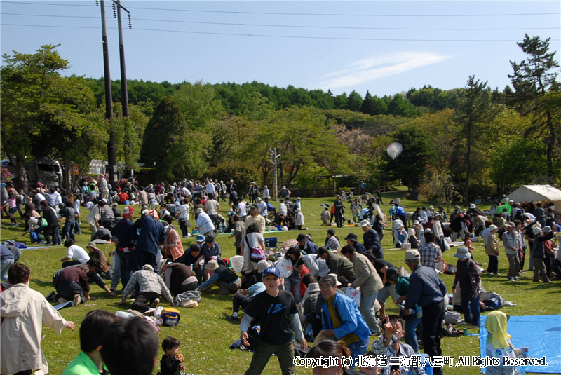 H22.06.06 つつじ祭り