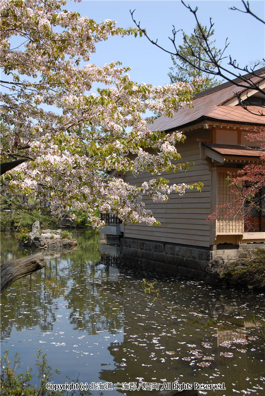 H21.05.10　梅村庭園