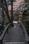 H21.05.10　梅村庭園