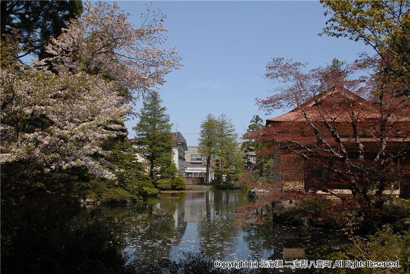 H21.05.10　梅村庭園