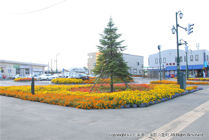 H22.10.07　駅前植栽