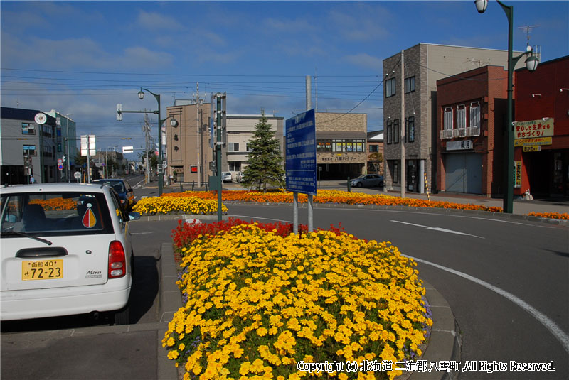 H22.10.07　駅前植栽