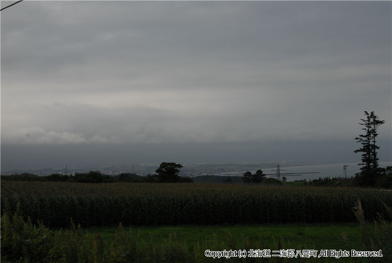 H20.09.05　芋掘り風景