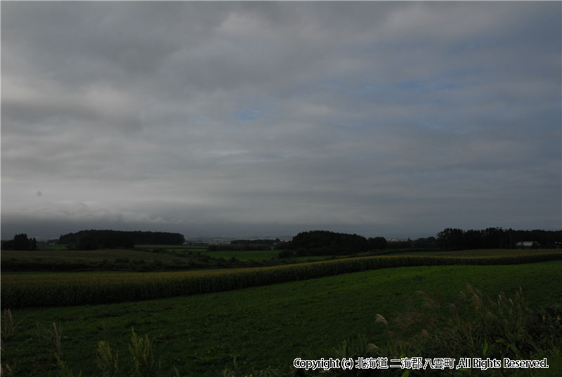 H20.09.05　芋掘り風景