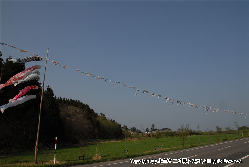 H20.05.02　立岩こいのぼり