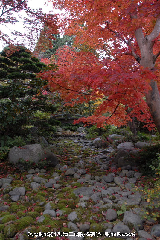 H21.10.23　梅村庭園