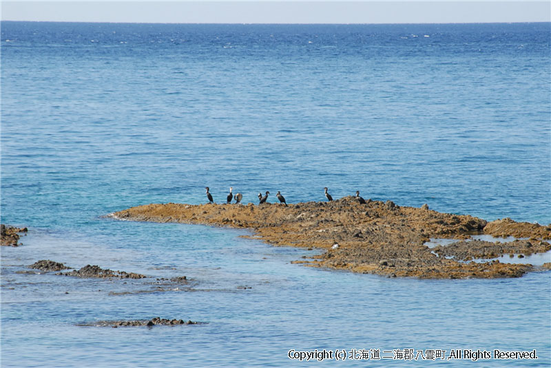 H22.09.17　熊石海岸