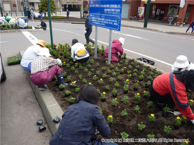 H22.06.05　駅前花壇写真