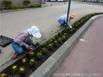 H22.06.05　駅前花壇写真