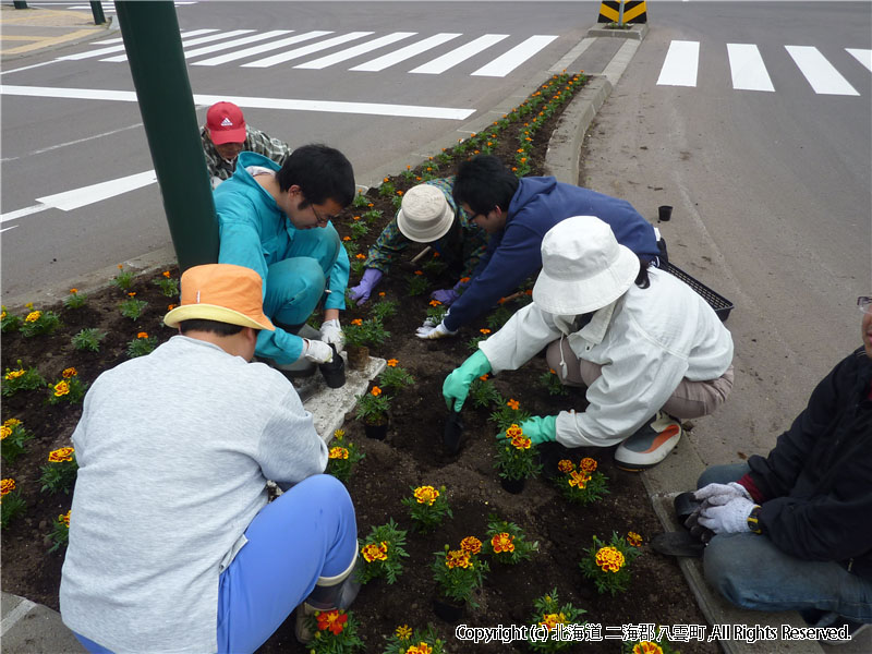 H22.06.05　駅前花壇写真