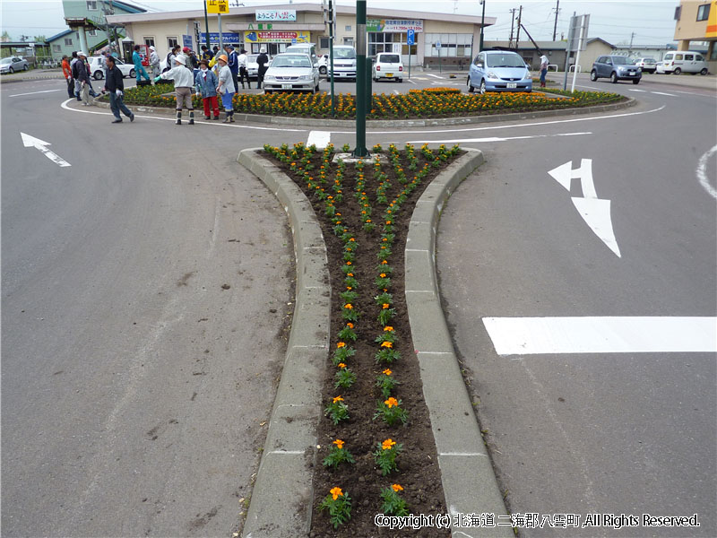 H22.06.05　駅前花壇写真
